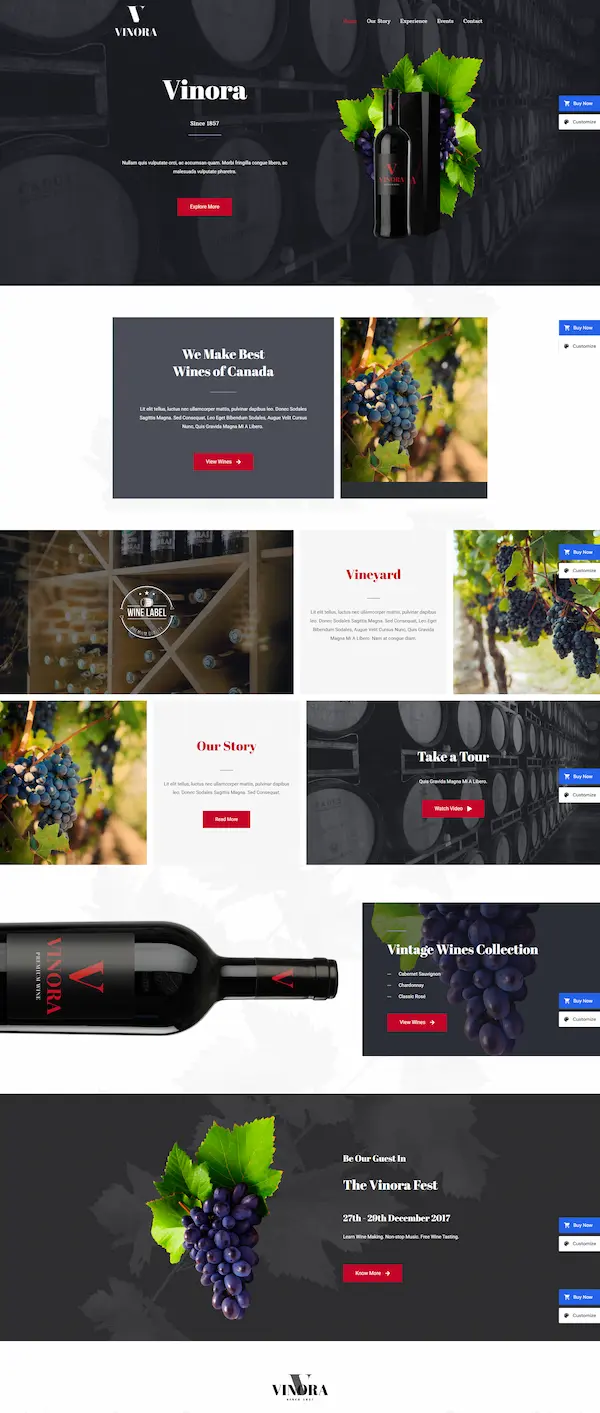 winery-04 模板预览